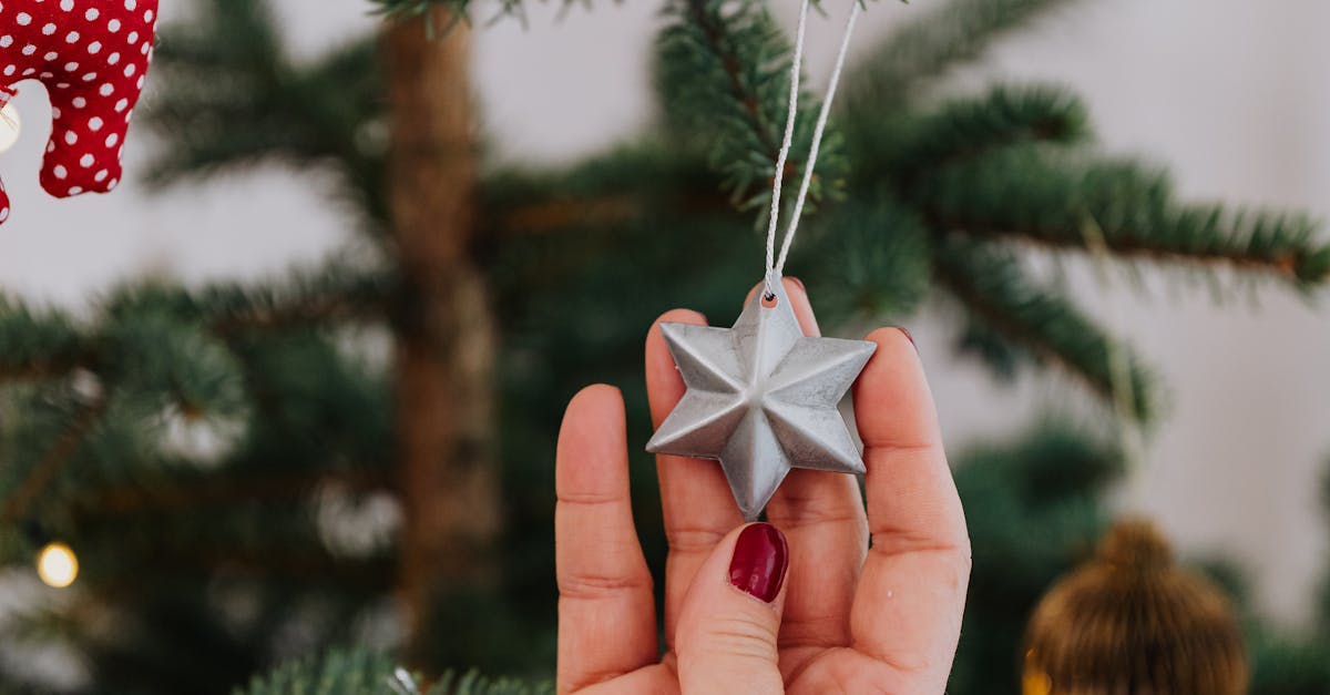 What month is best to trim trees?